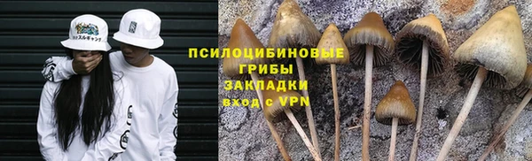 а пвп мука Арсеньев